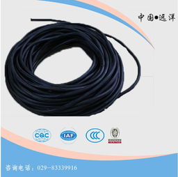 選擇優(yōu)質(zhì)自控儀表電纜廠家，助力工業(yè)自動化高效穩(wěn)定運(yùn)行